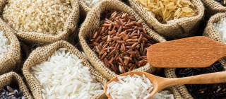 Rýže - anatomie, zpracování a druhy